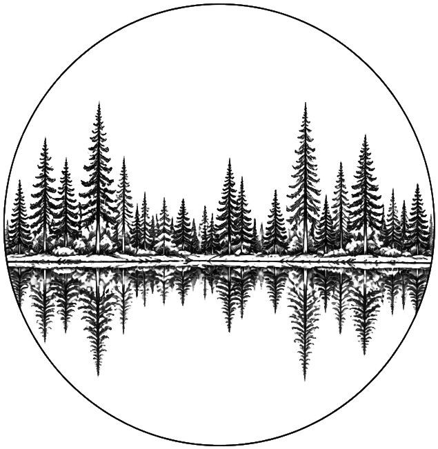 Mirror Forest
