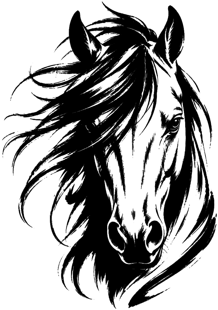 Wild Horse