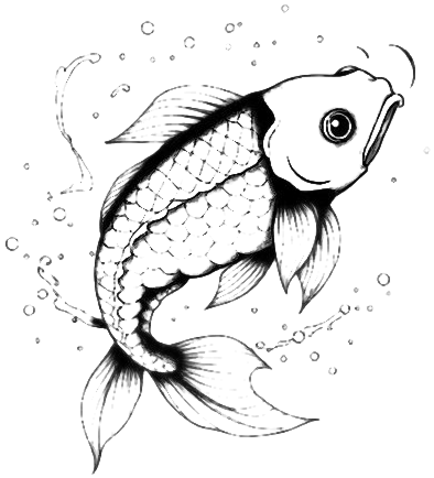 Koi & Ripples