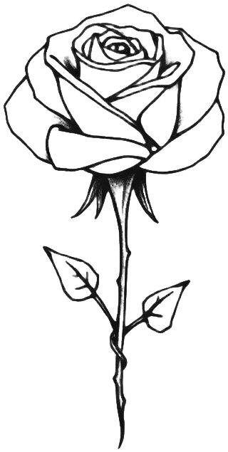 Thorned Rose